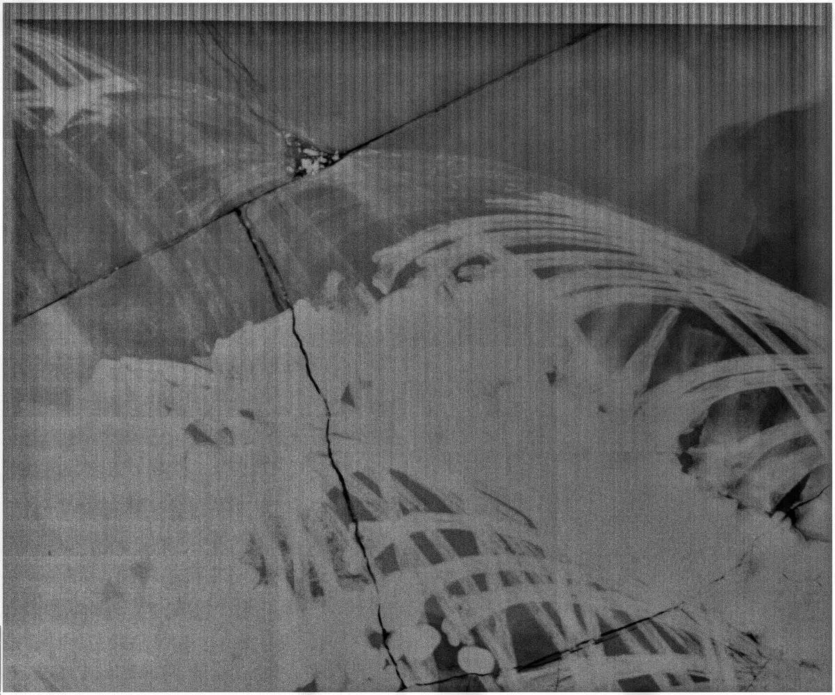 Präparation_#4-02_Ichthyosaurier_Holzmaden_02