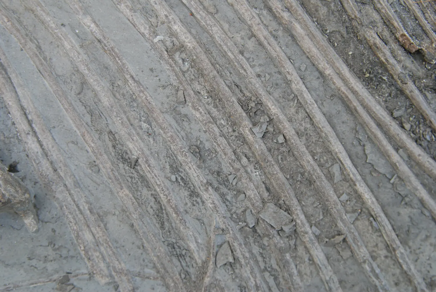 Holzmaden_Pyritzerfall_Abtrag_02a