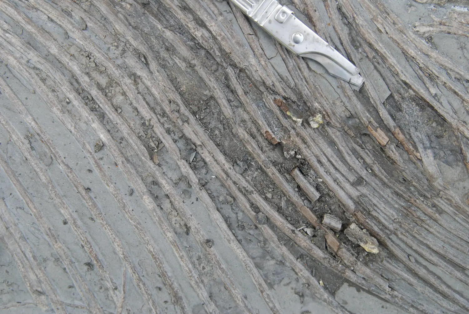 Holzmaden_Pyritzerfall_Abtrag_02b