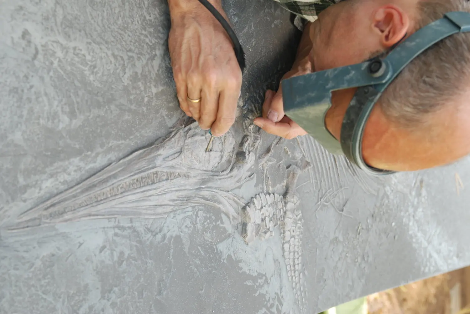 Holzmaden_Pyritzerfall_Feinstrahler_03b