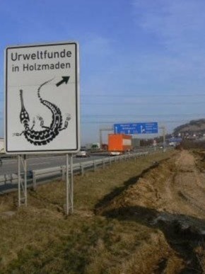 2.07_Holzmaden_A8