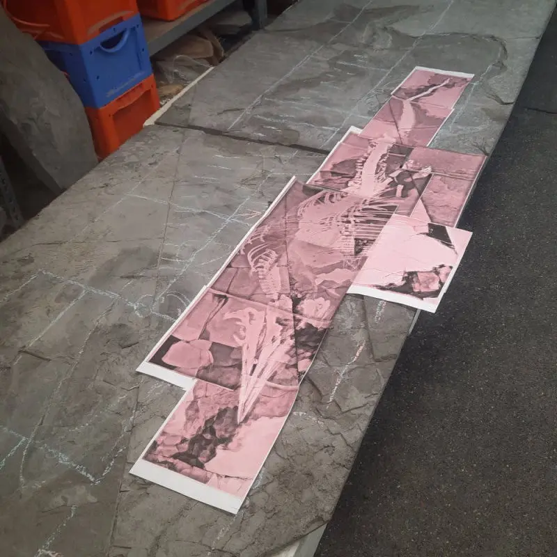 Präparation_#4-06_Ichthyosaurier_Holzmaden_01