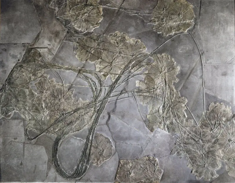 Seirocrinus_subangularis