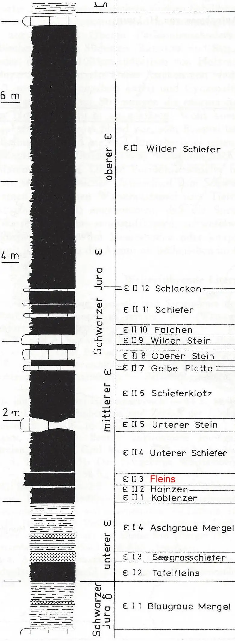Holzmaden_Profil_Fleins