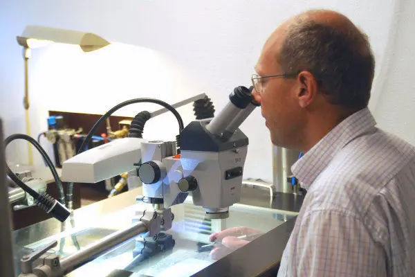 Holzmaden_Präparation_02