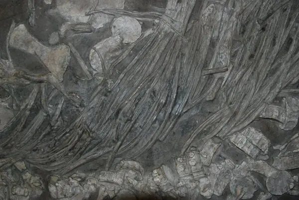 Holzmaden_Pyrit_Sanierung_Tiefenimprägnation_07