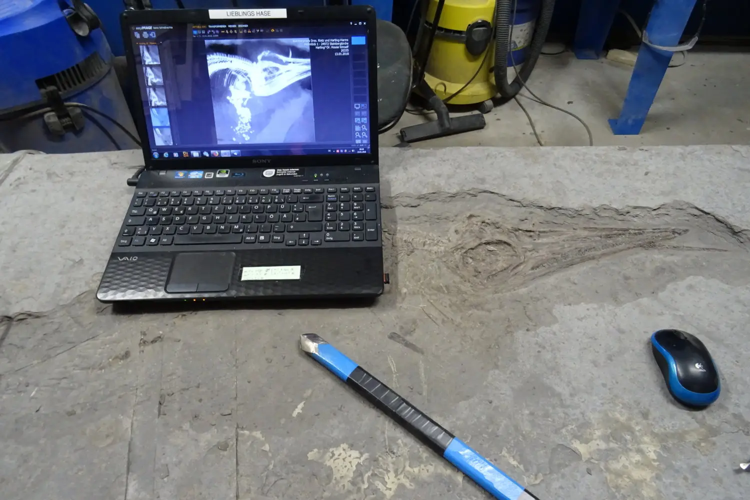 Präparation_#1_Ichthyosaurier_Holzmaden_07