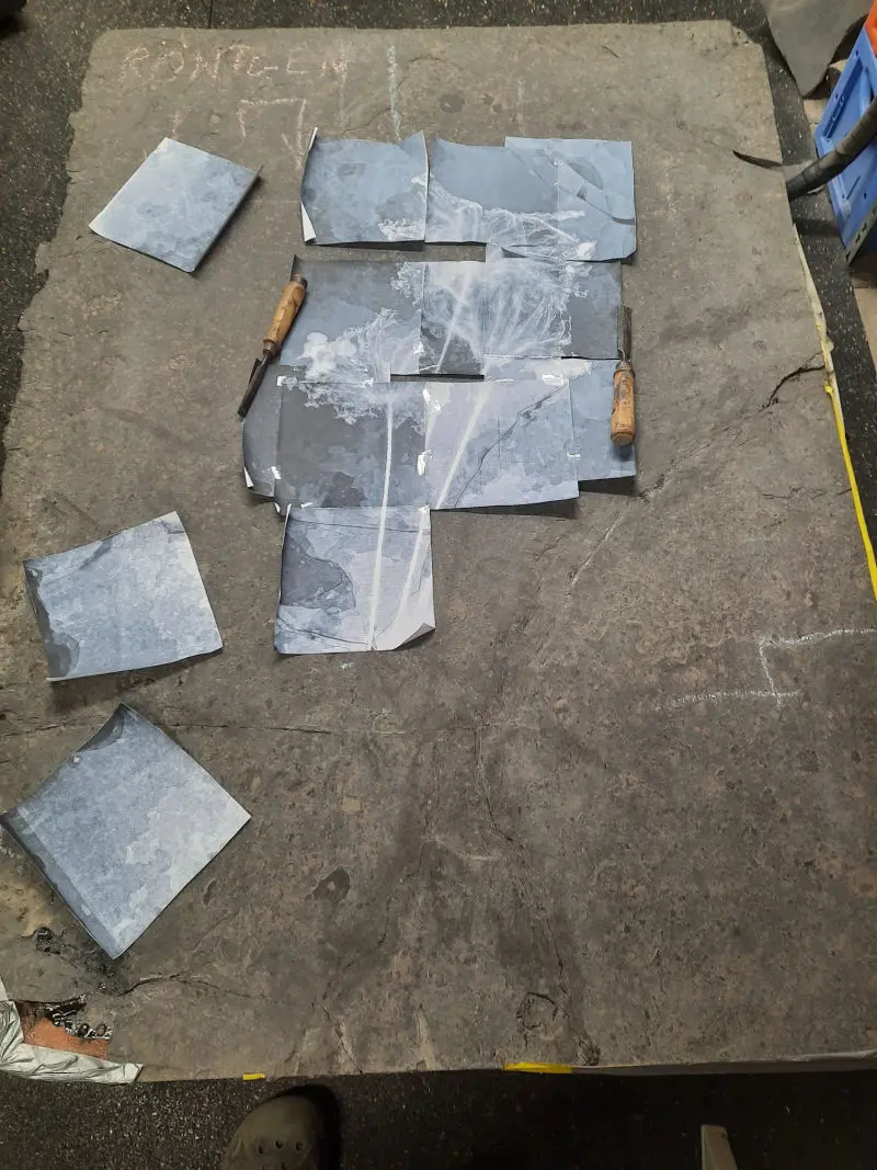 Präparation_#3_Seirocrinus_Holzmaden_02