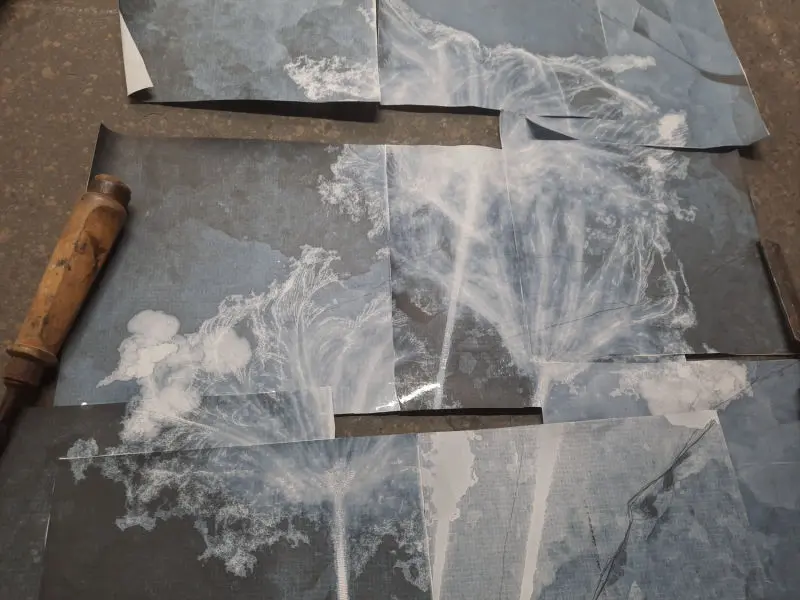 Präparation_#3_Seirocrinus_Holzmaden_05